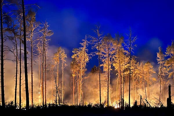 A Fiery Backdrop Sets the Stage for an Unlikely Bond in 'Eternal Summer'