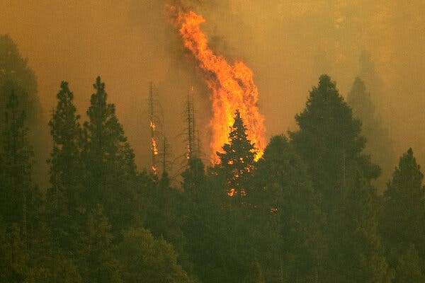 A Firefighter's Journey: Embracing the Complex Reality of Wildfires