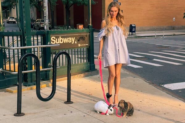 Abandoned Rabbits From Anna Delvey’s NYC Photo Shoot Spark Public Outcry