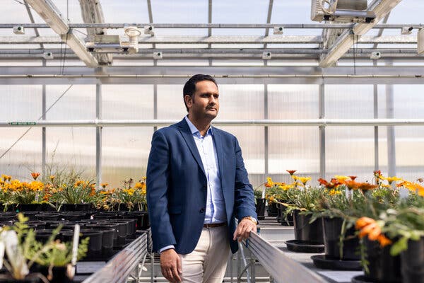 Ali Bajwa, originally from Pakistan, completed his doctorate in Australia and now lectures at La Trobe University in Melbourne after a decade in the country.