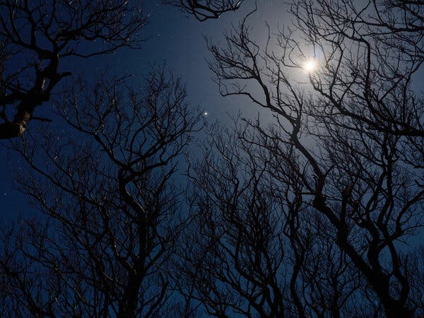 A stunning night sky over a remote Scottish isle renowned for its pristine stargazing conditions