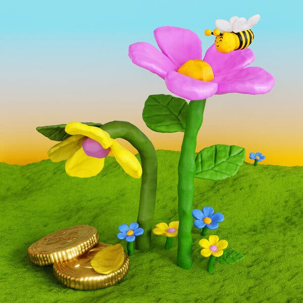 Contrasting Blossoms: A Visual Reflection on Society
