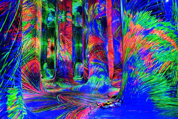 “Spontaneous Order in Chaos” installation at teamLab’s Phenomena museum, which recently opened in Abu Dhabi, United Arab Emirates.