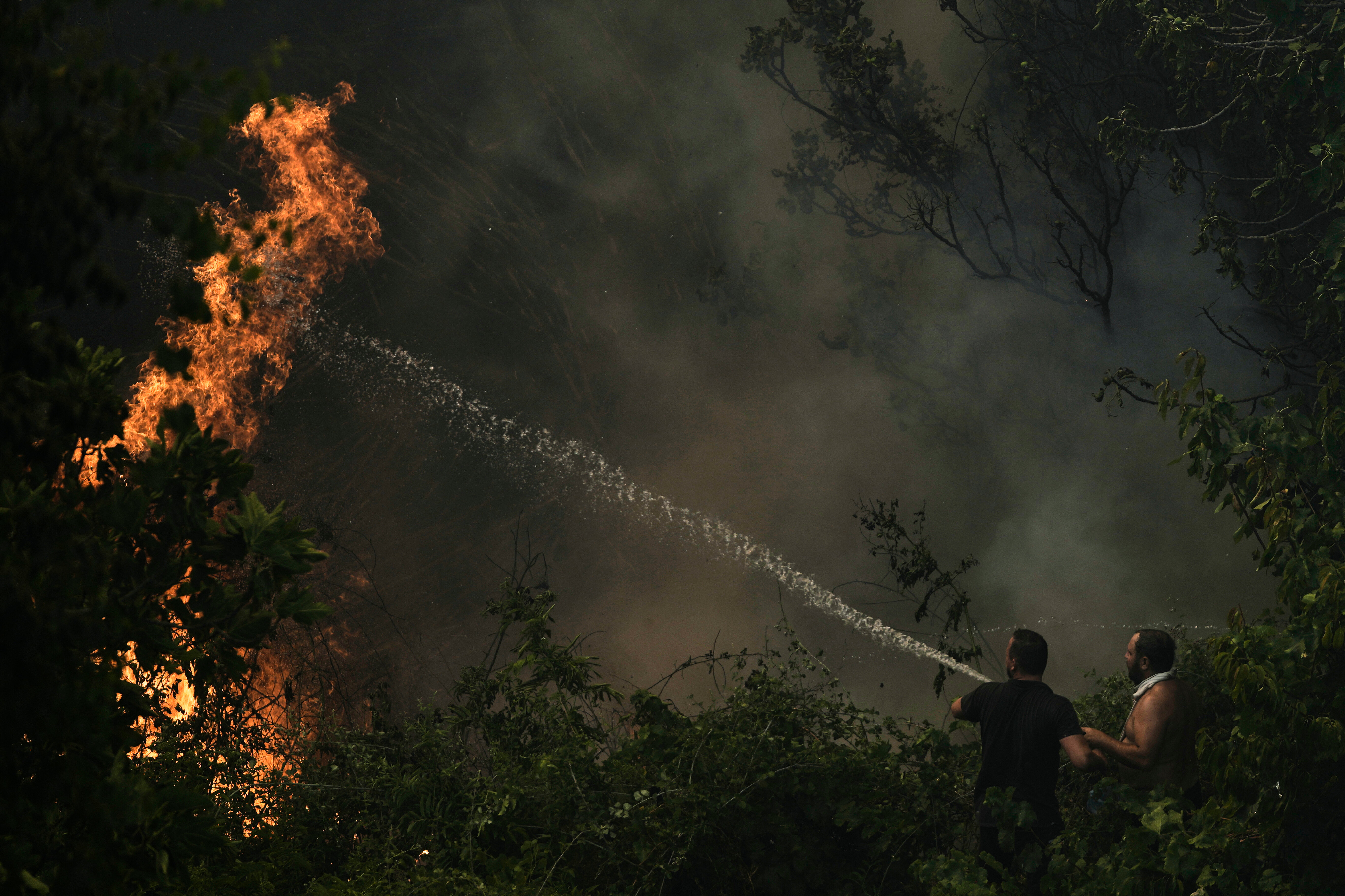 Europe Battles Widespread Wildfires Fueled by Intense Winds and Heat