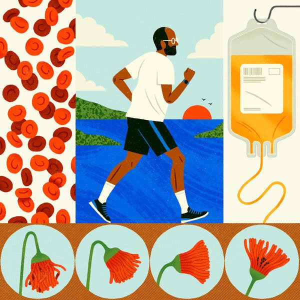 Exploring Plasma Exchange Therapy as a Potential Anti-Aging Approach