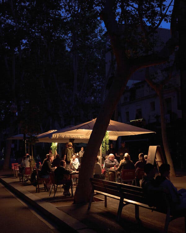 Finding Light in the Great Iberian Blackout