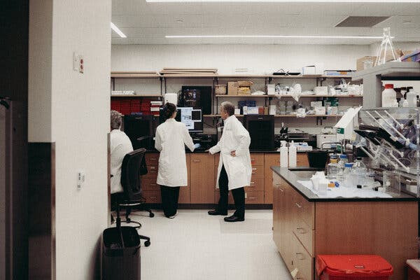 Global Nations Seek U.S. Scientists Amid Shifts in American Research Funding