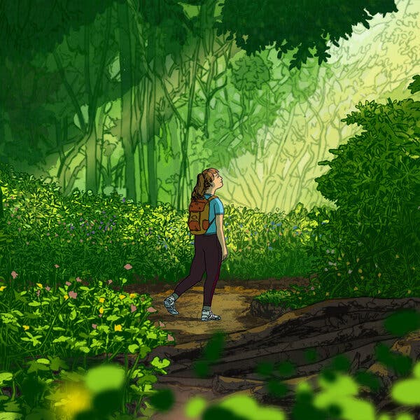 How Spending Time in Nature Can Sharpen Your Focus