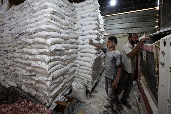 Humanitarian Aid Begins to Reach Gaza Following Prolonged Blockade