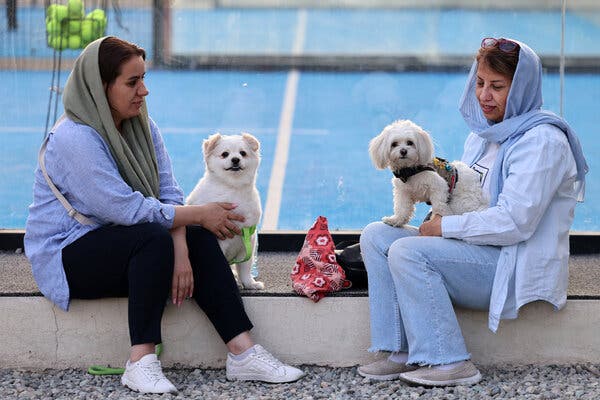 Iran to Enforce Strict Crackdown on Dog Walking Amid Health and Cultural Concerns