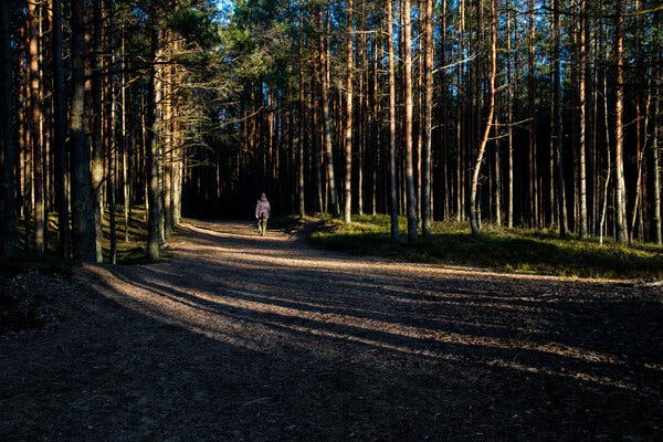 Hiking trail at Kemeri National Park in Latvia.