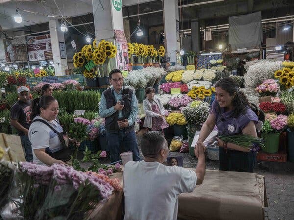 Mexico’s Judicial Candidates Turn to TikTok and Tinder Amid Strict Campaign Rules