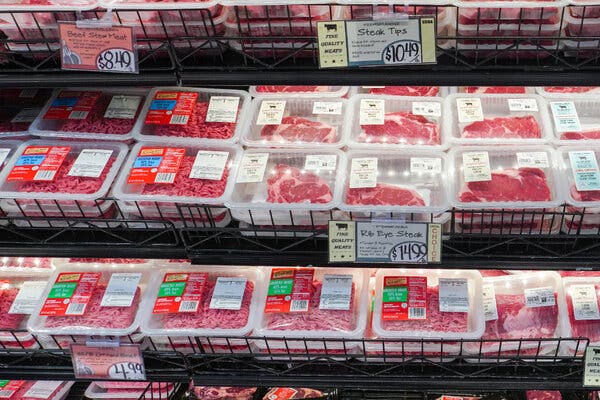 New Research Highlights Potential Link Between Plastics and Cardiovascular Deaths