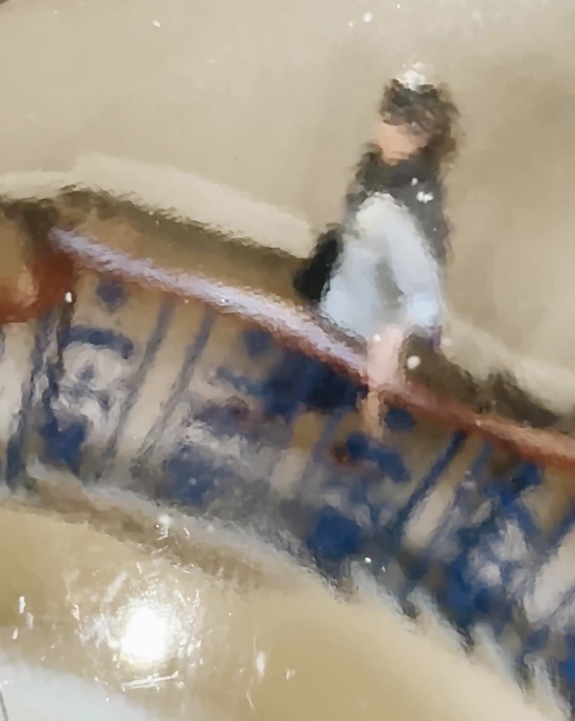 Seeing the World Anew: A Journey Through Vision Loss and Impressionist Art