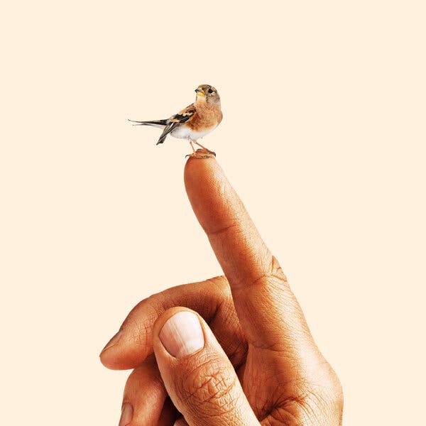 Simple Daily Joys: How Small Moments Can Lift Your Spirits