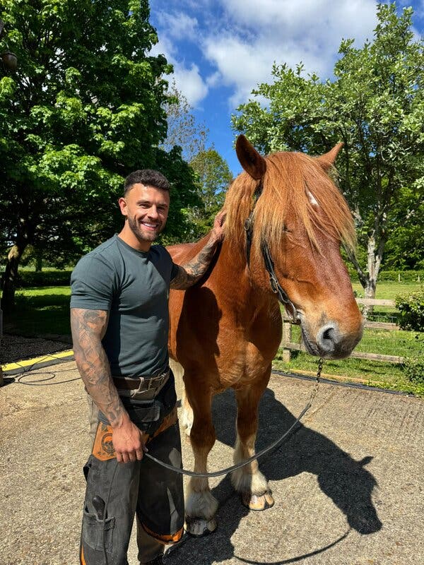The Rising Popularity of Farriers: How Horse Shoeing Became a Viral Sensation
