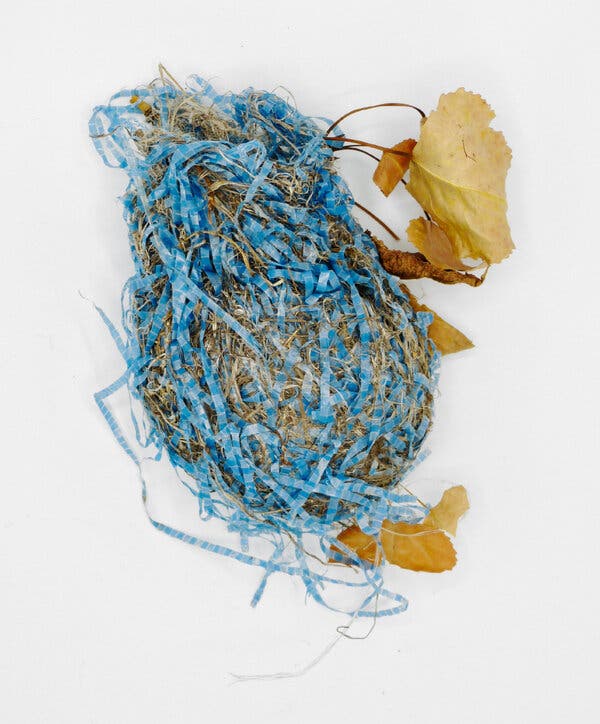 The Troubling Reality of Plastic in Bird Nests