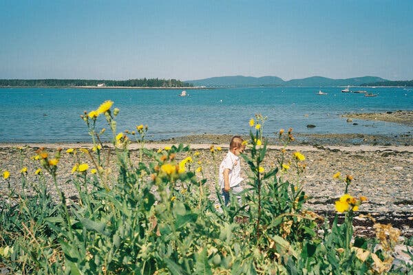 Transformative American Road Trips: Stories from Coast to Coast