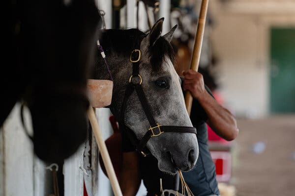 Sandman, victor of the Arkansas Derby in March, stands as a leading favorite in the upcoming Kentucky Derby, owned by a stable aiming to rejuvenate interest in horse racing.