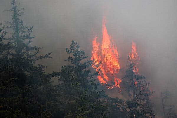 U.S. Republicans Urge Canada to Address Wildfire Smoke Affecting American Communities
